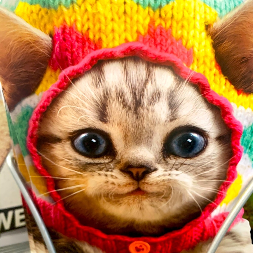 First Time Hosting! Ty For Your Support - image 1